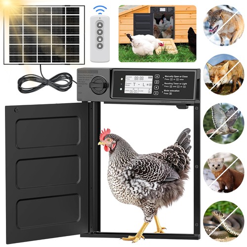 Chicken coop door - door,