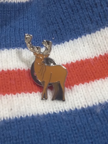 Red deer hunting stag - red,