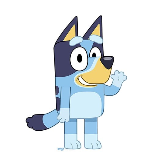 Bluey star mini - mini, cardboard