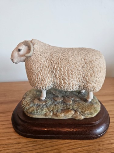 Border fine arts cheviot ram - arts,