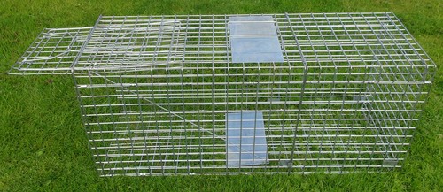 Large folding fox trap humane - folding,