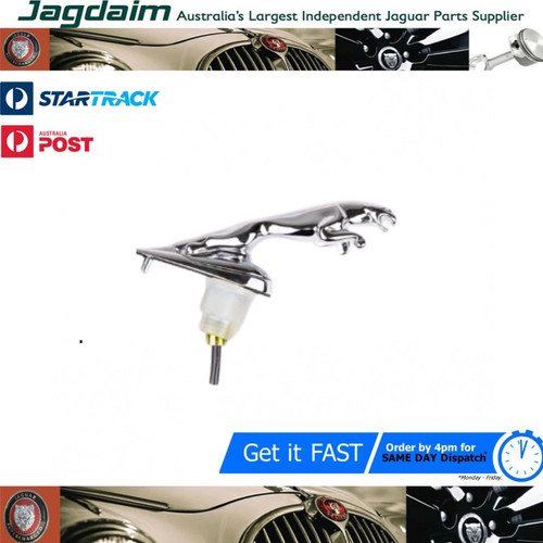 New jaguar leaping spring - jaguar,