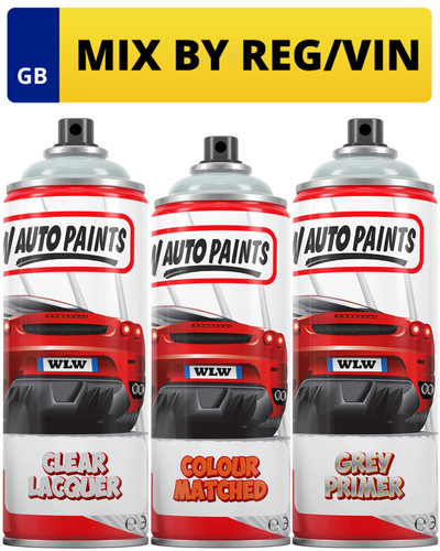 Aerosol spray paint - spray, kit