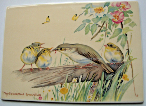 Villeroy boch vilbo card - villeroy,