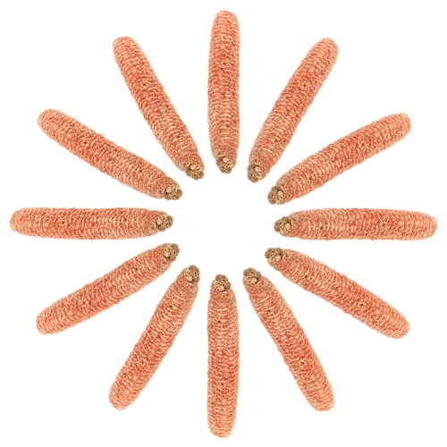 Pcs corn cob - 15, fuel