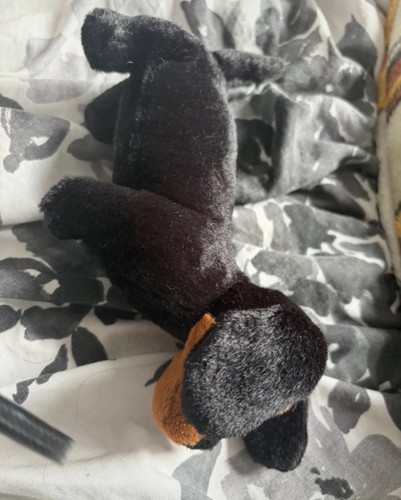 Jellycat freddie sausage dog - jellycat,