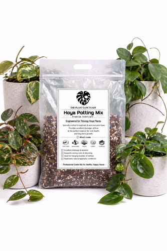 Premium hoya soil - premium,