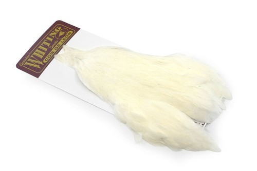 Whiting coq leon hen cape - whiting, cape*