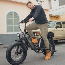 FAFREES FF20 POLAR Electric