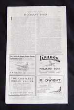 PHEASANT EGGS ARTICLE AND ADVERT 1938 ORIGINAL ARTICLE STOUGHTON BERKHAMSTED