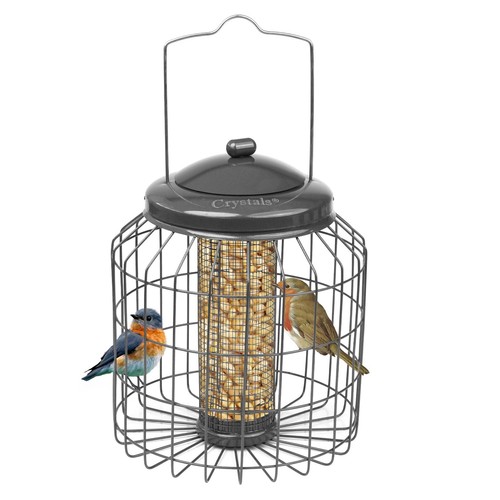 Squirrel proof hanging bird - hanging,