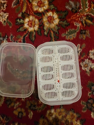 Reptile egg incubator tray - egg,