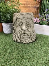 STONE GARDEN WIZARD FLOWER