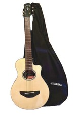 YAMAHA APXT2 Natural(NT)