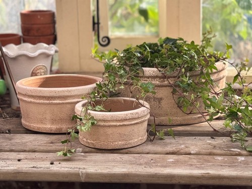 Garden pot terracotta bowl - 1x,
