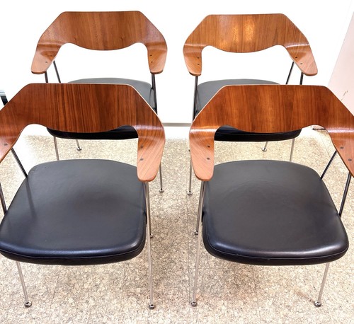 Mid century robin - robin, day