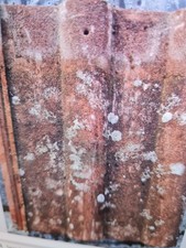 Second-hand Marley Double