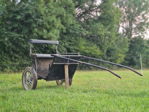 Two wheeled pony - pony, /