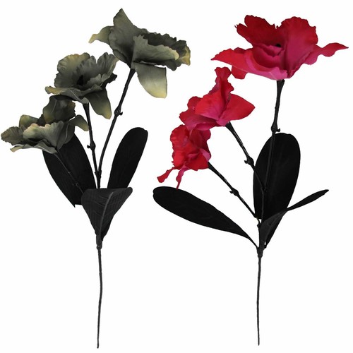 Head cymbidium orchid spray - head,