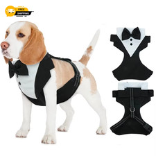 Dog Tuxedo Harness Bow Tie