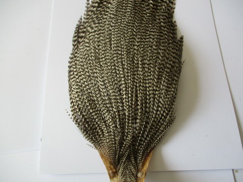 Premium cock cape grade - premium, 2