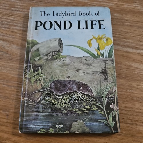 Vintage ladybird book - vintage, pond