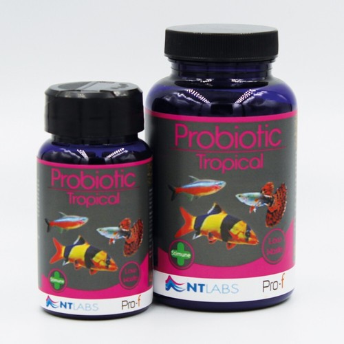 Labs pro probiotic - pro, f