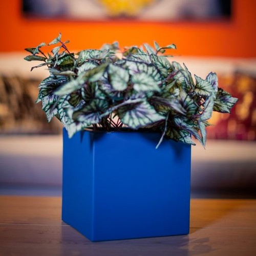 Fibreglass cube planter - , x