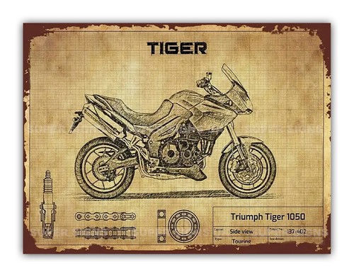 Triumph tiger style - tiger, motorcycle