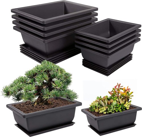 Plastic bonsai training - plastic,