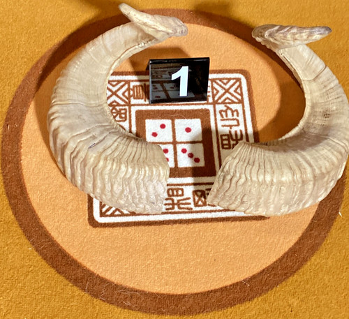 Choice ram horn matched - ram,