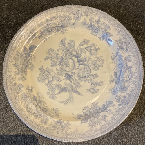 Antique large asiatic - antique,