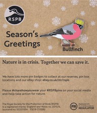 RSPB Pin Badge NIIC Special Christmas Bullfinch P03145
