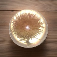 Vintage Lucite paperweight by