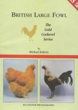 British Large Fowl Michael