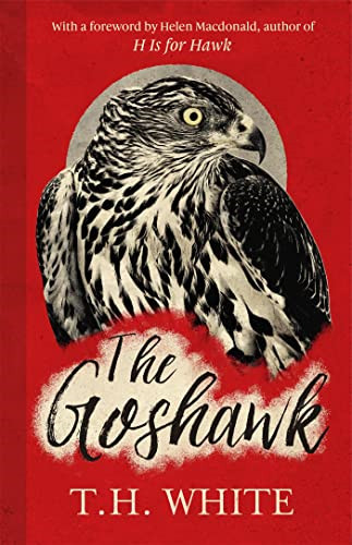 The goshawk with new - goshawk:,