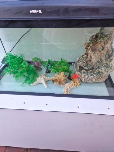 Aquael glass rectangular - aquael,