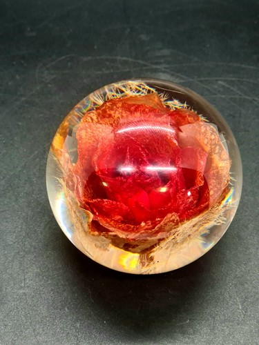 Hafod grange lucite - grange,