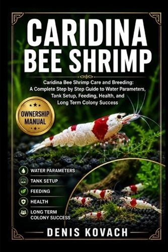 Caridina bee shrimp - bee,