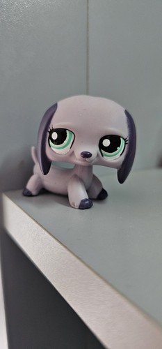 Littlest pet shop - pet,