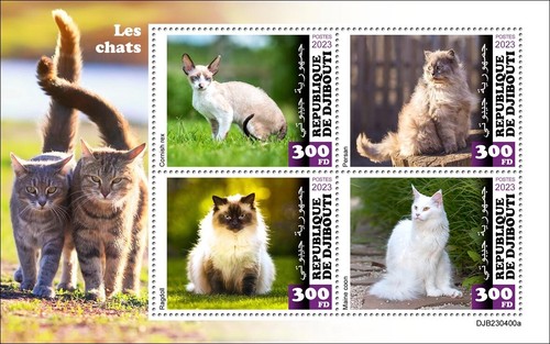 Cats cornish rex ragdoll - rex,