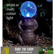 Gazing Frog Light Up Garden