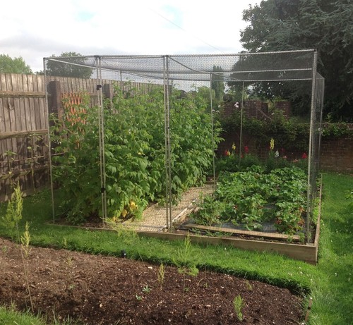 Fruit cage and - vegetable,