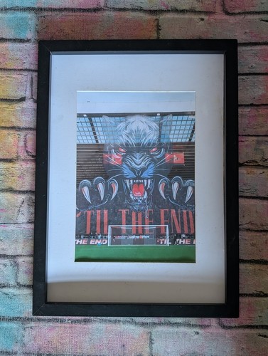 Sunderland tifo stadium of - sunderland,