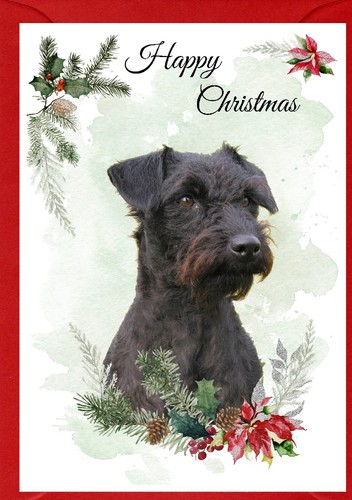 Patterdale terrier dog x - dog, (4"x