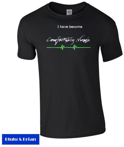 Pink floyd comfortably numb - comfortably,