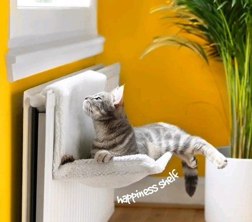 Petlicity cat radiator - petlicity, bed