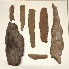 Driftwood 7x bark Pieces, textured, craft, decor, sculpture, display, art, beach