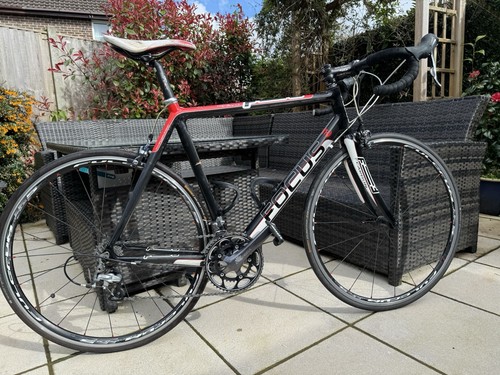 Focus cayo carbon - focus,