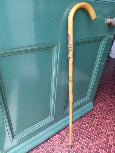 Vintage ramblers hiking staff - vintage, ramblers'